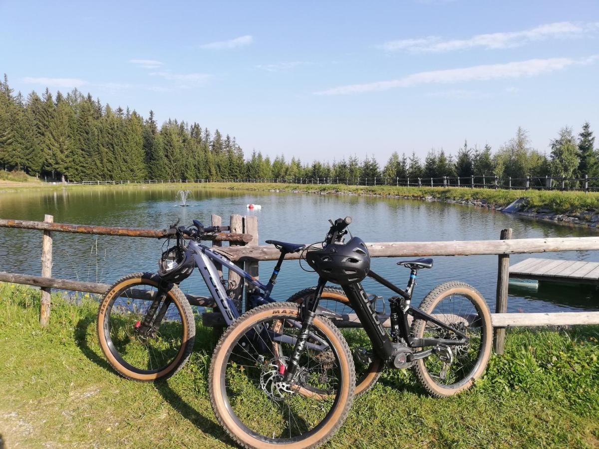 Weixl Schi&Bike Appartements-Bike In&Bike Out Neben Wexl Trails Bikepark Sankt Corona am Wechsel Luaran gambar