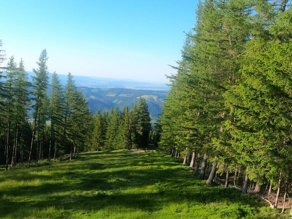 Weixl Schi&Bike Appartements-Bike In&Bike Out Neben Wexl Trails Bikepark Sankt Corona am Wechsel Luaran gambar