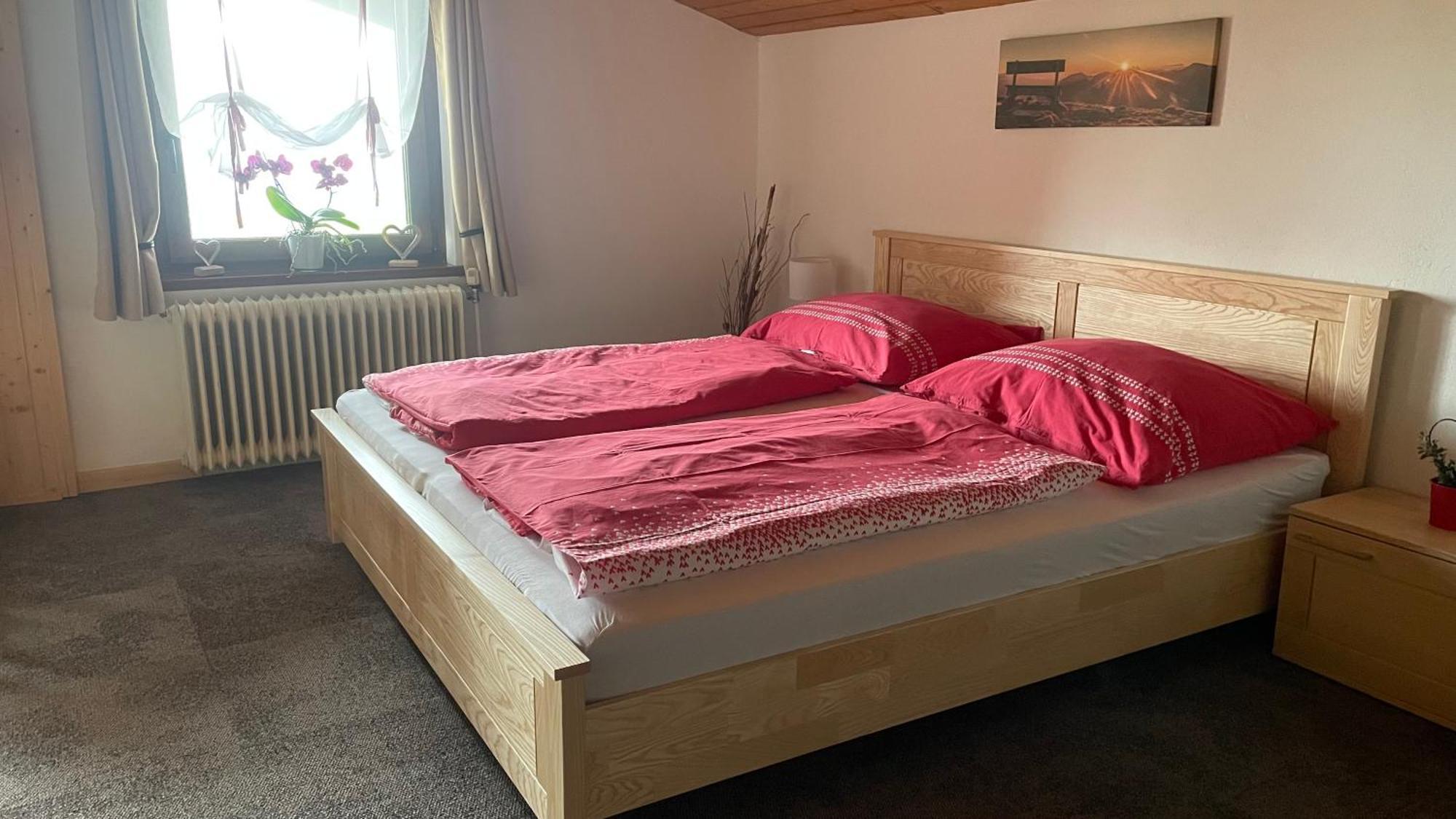 Weixl Schi&Bike Appartements-Bike In&Bike Out Neben Wexl Trails Bikepark Sankt Corona am Wechsel Luaran gambar