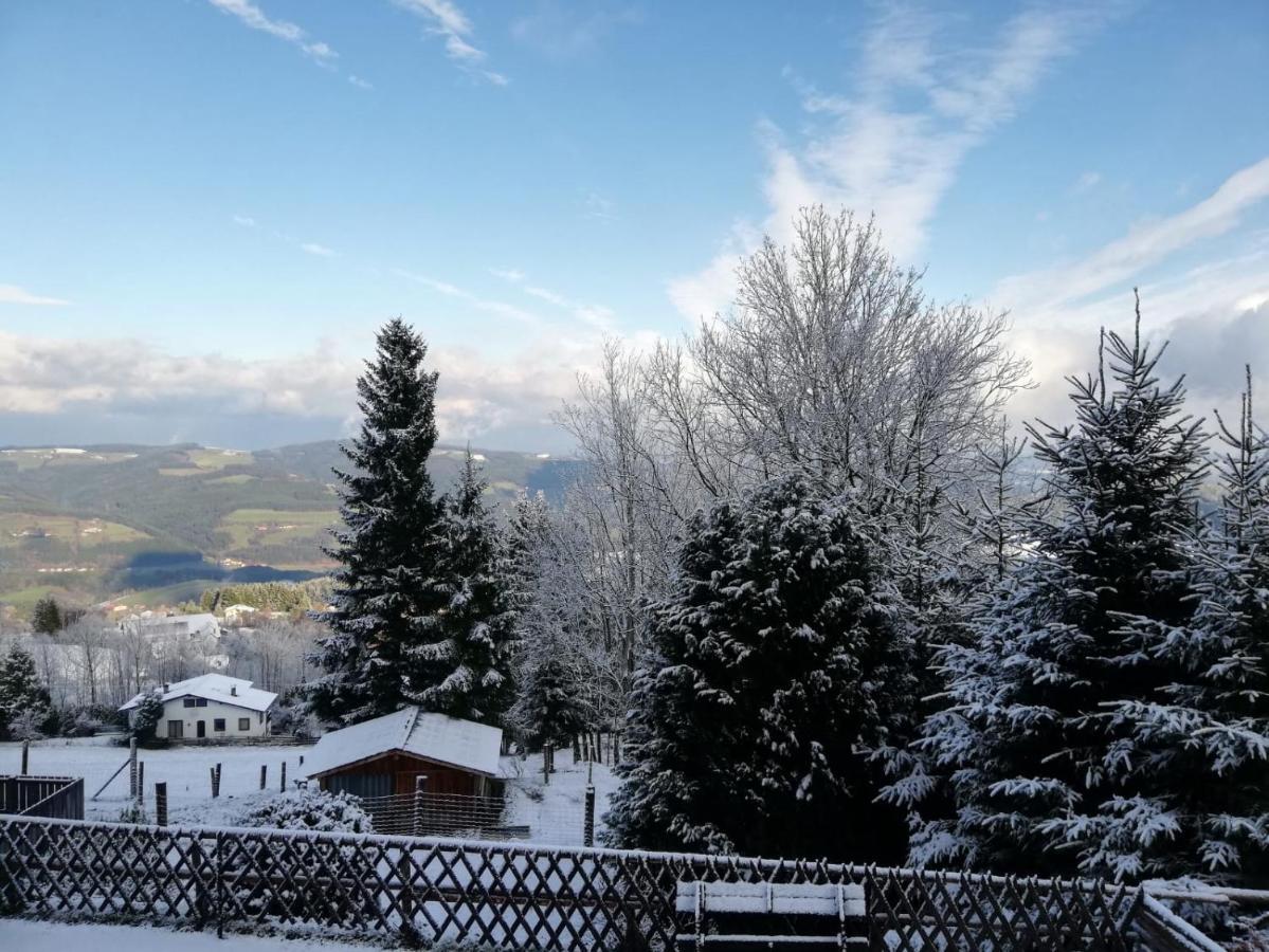 Weixl Schi&Bike Appartements-Bike In&Bike Out Neben Wexl Trails Bikepark Sankt Corona am Wechsel Luaran gambar