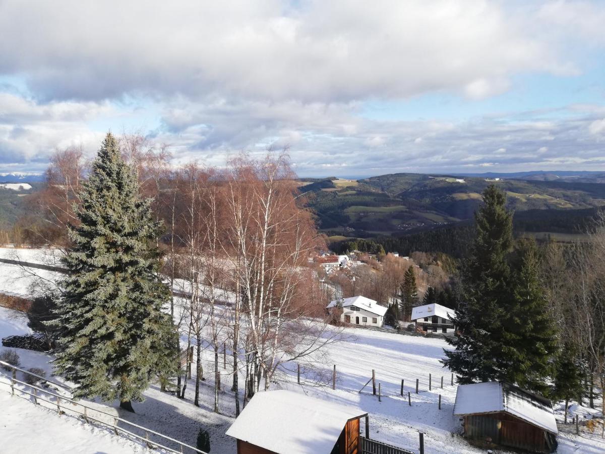Weixl Schi&Bike Appartements-Bike In&Bike Out Neben Wexl Trails Bikepark Sankt Corona am Wechsel Luaran gambar