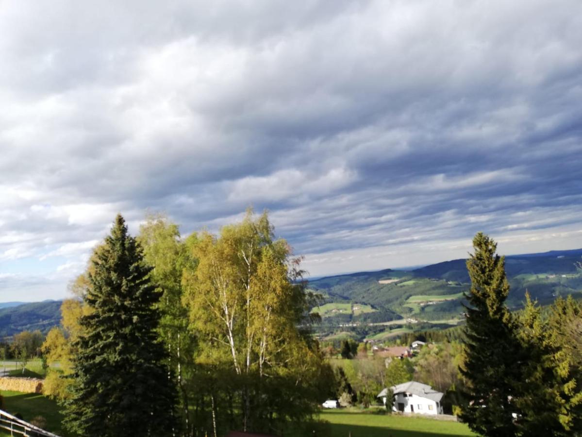 Weixl Schi&Bike Appartements-Bike In&Bike Out Neben Wexl Trails Bikepark Sankt Corona am Wechsel Luaran gambar