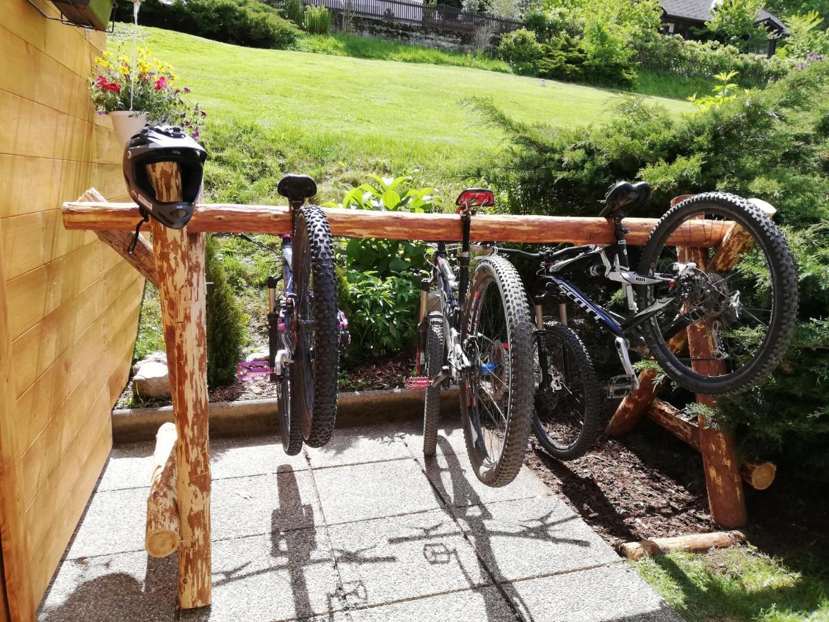 Weixl Schi&Bike Appartements-Bike In&Bike Out Neben Wexl Trails Bikepark Sankt Corona am Wechsel Luaran gambar