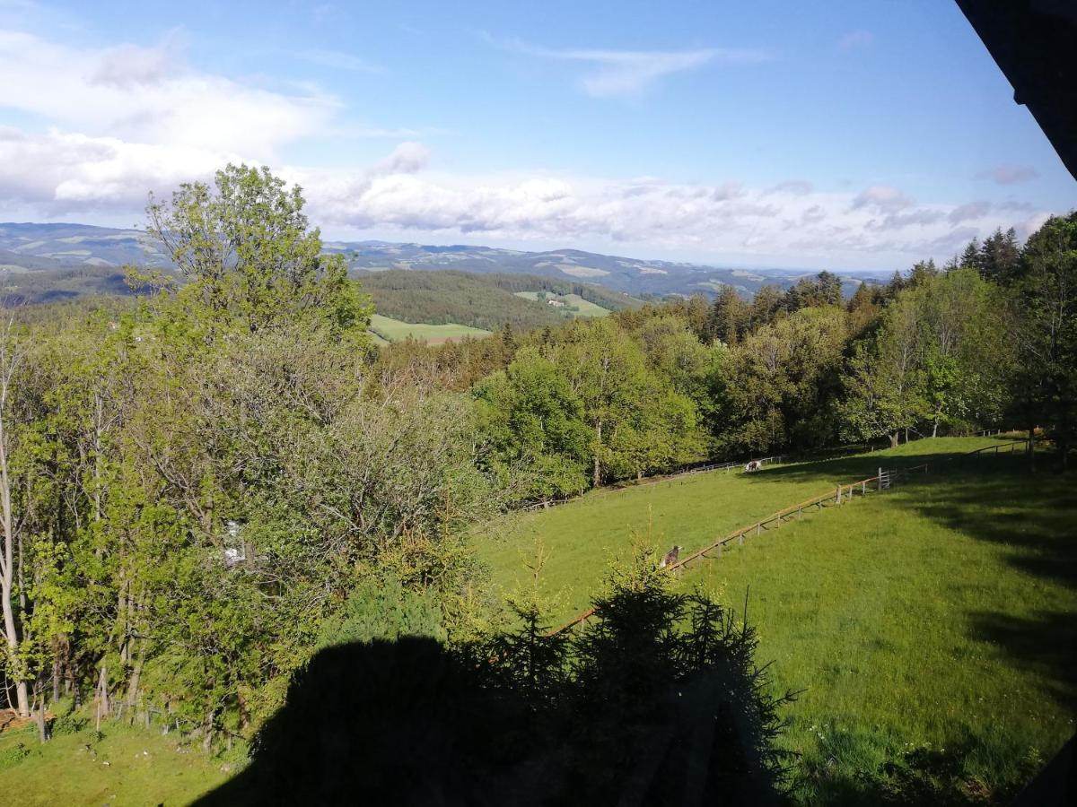 Weixl Schi&Bike Appartements-Bike In&Bike Out Neben Wexl Trails Bikepark Sankt Corona am Wechsel Luaran gambar