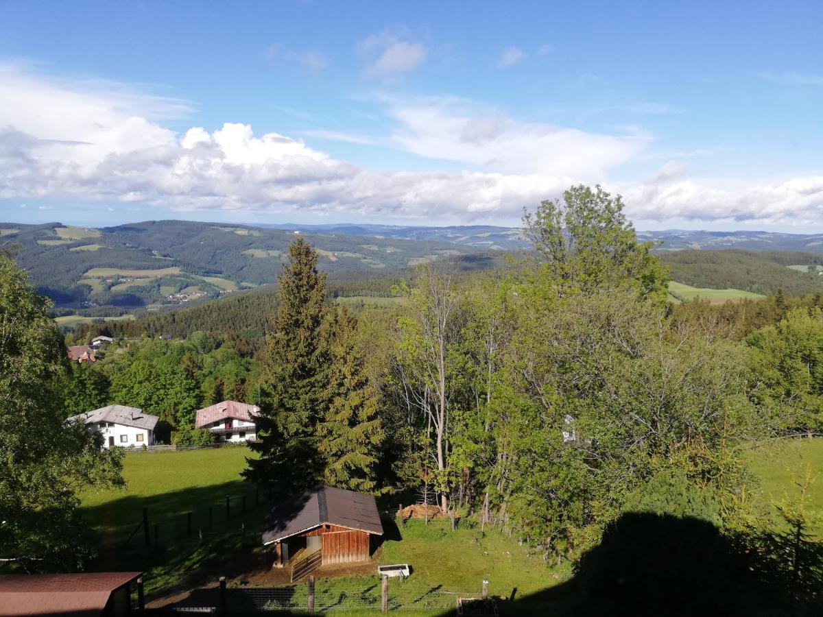 Weixl Schi&Bike Appartements-Bike In&Bike Out Neben Wexl Trails Bikepark Sankt Corona am Wechsel Luaran gambar